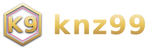 knz99 logo